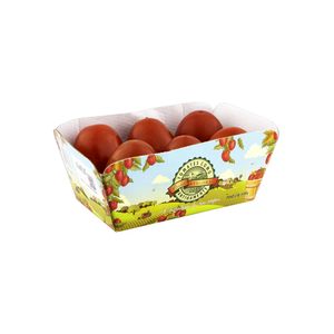Tomate Trebeschi Como Antigamente 600g