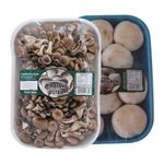 Cogumelo-Shimeji-Cogumelos-Gula-Bandeja-200g