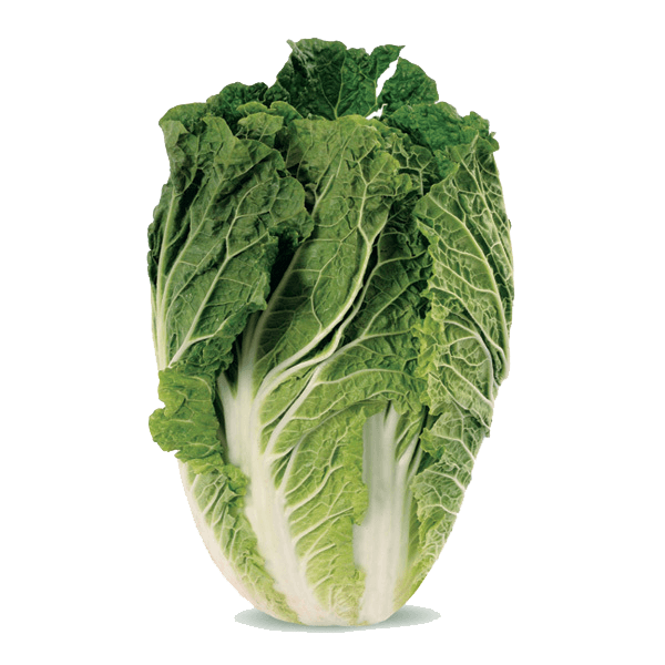 Couve Chinesa Santo Expedito 1un