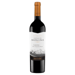 Vinho Chileno Tinto Seco Reserva San Pedro Castillo de Molina Carménère Valle del Maule Garrafa 750ml
