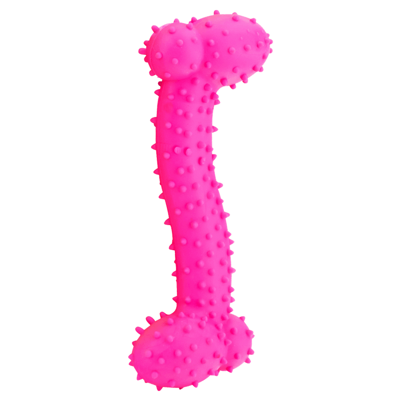 Brinquedo Maciço SS Pet´s Pequeno