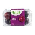 Ameixa Natrua Bandeija 500gramas