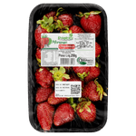 Morango Orgânico Pilatti 250g