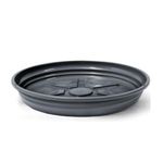 Prato Nutriplan Violeta Preto