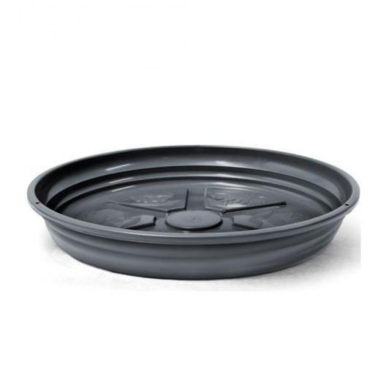 Prato Nutriplan Violeta Preto