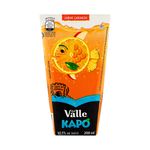 Bebida Adoçada Laranja Del Valle Kapo Caixa 200ml