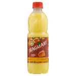 Suco-Concentrado-Caju-Maguary-Garrafa-500ml