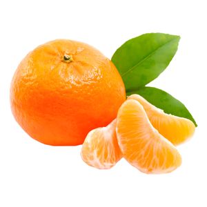 Laranja Bergamota Kg