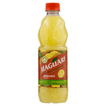 Suco-Concentrado-Abacaxi-Maguary-Garrafa-500ml