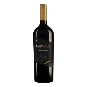 Vinho Chileno Tinto Cabernet Sauvignon Paso De Los Andes Garrafa 750ml