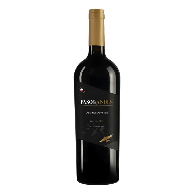 Vinho-Chileno-Tinto-Cabernet-Sauvignon-Paso-De-Los-Andes-Garrafa-750ml