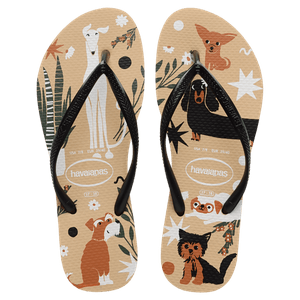 Chinelo Dourado/Preto Slim Pets Havaianas n° 33/34