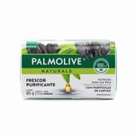 Sabonete-Barra-Sensacao-Purificante-Carvao-Palmolive-Naturals-Envoltorio-85g