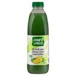 Cha-Verde-Capim-Limao-e-Abacaxi-Campo-Largo-Garrafa-900ml