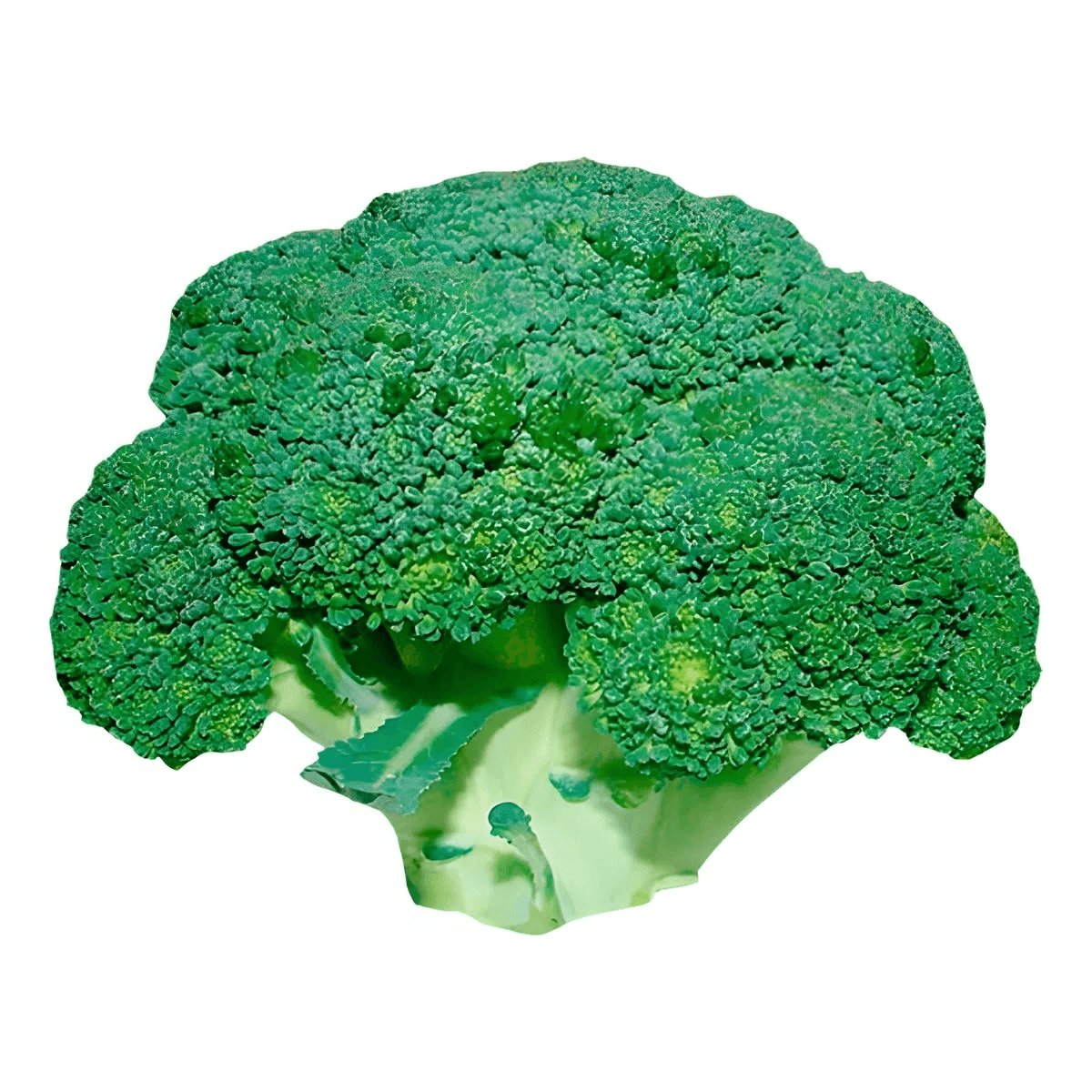 Brócolis KREMER 200g