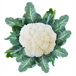 Couve-Flor-Kremer-1un