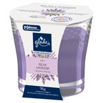 Vela-Perfumada-Relax-Lavender-Glade-Home-Fragrance-Vidro-96g